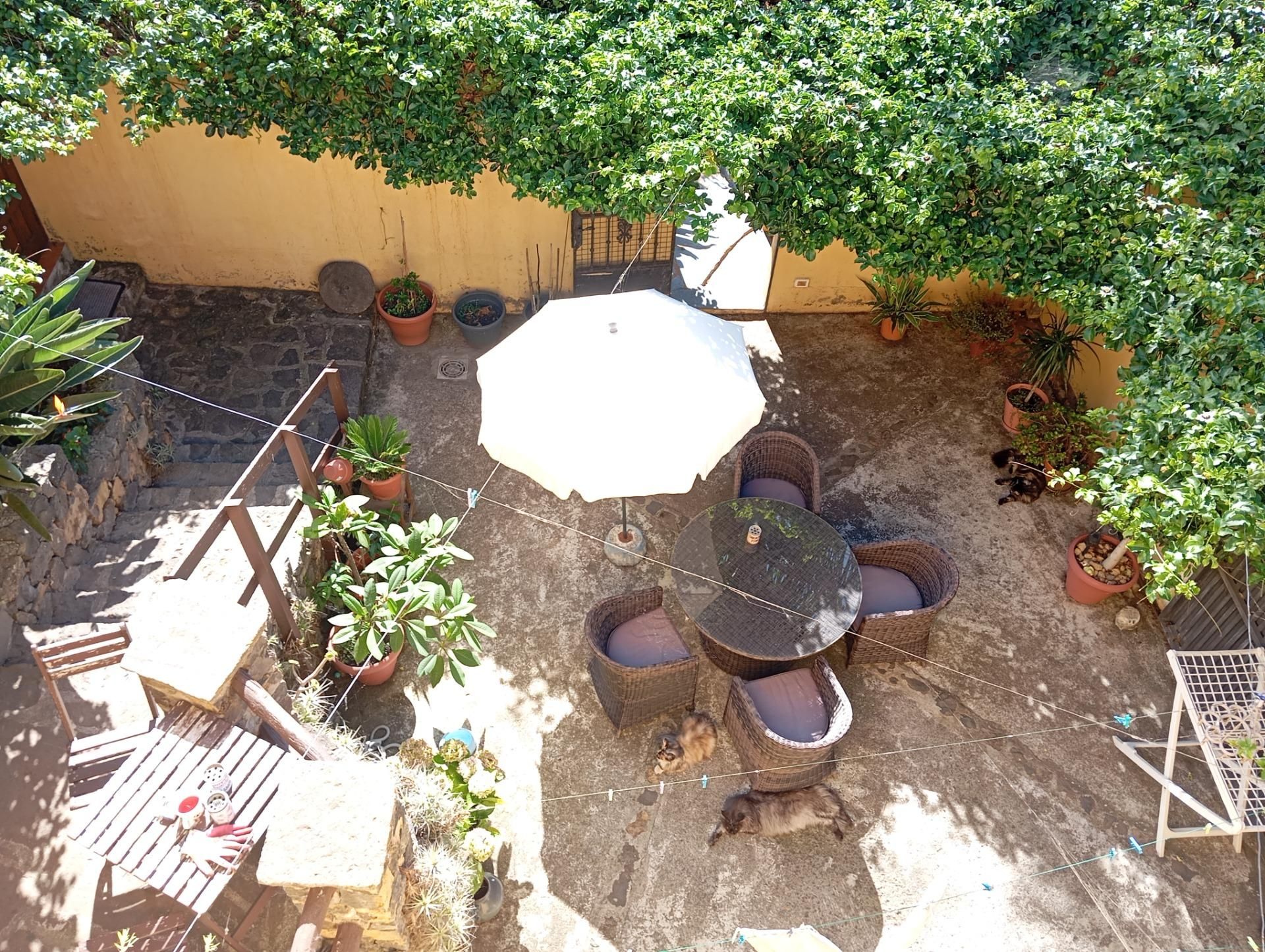 Jardí de Casa o xalet en venda en La Guancha amb Jardí privat, Terrassa i Traster