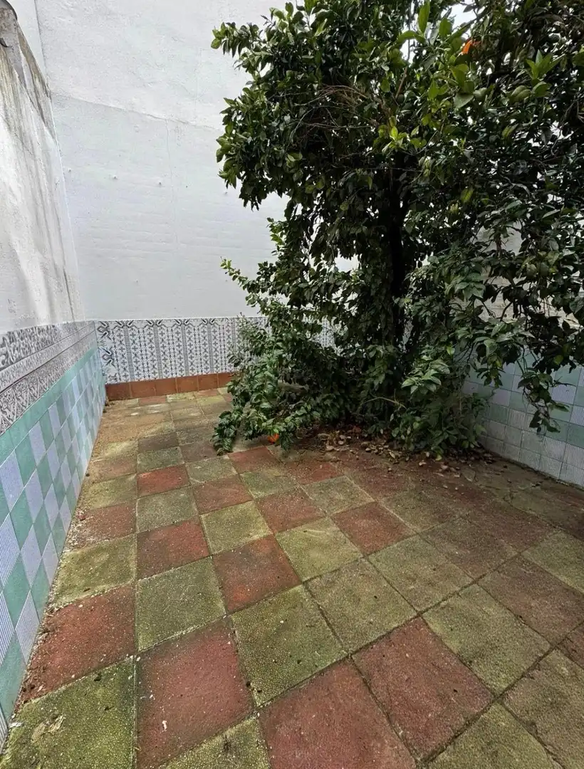 Maison à vendre à Paradas, imagen 8