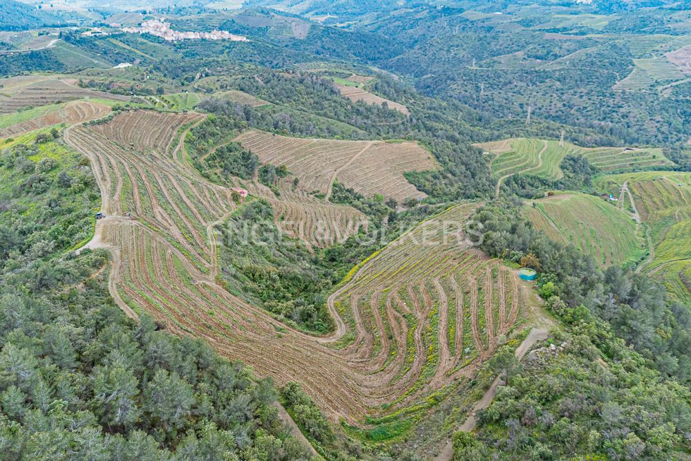 Residencial en venda en Bellmunt del Priorat
