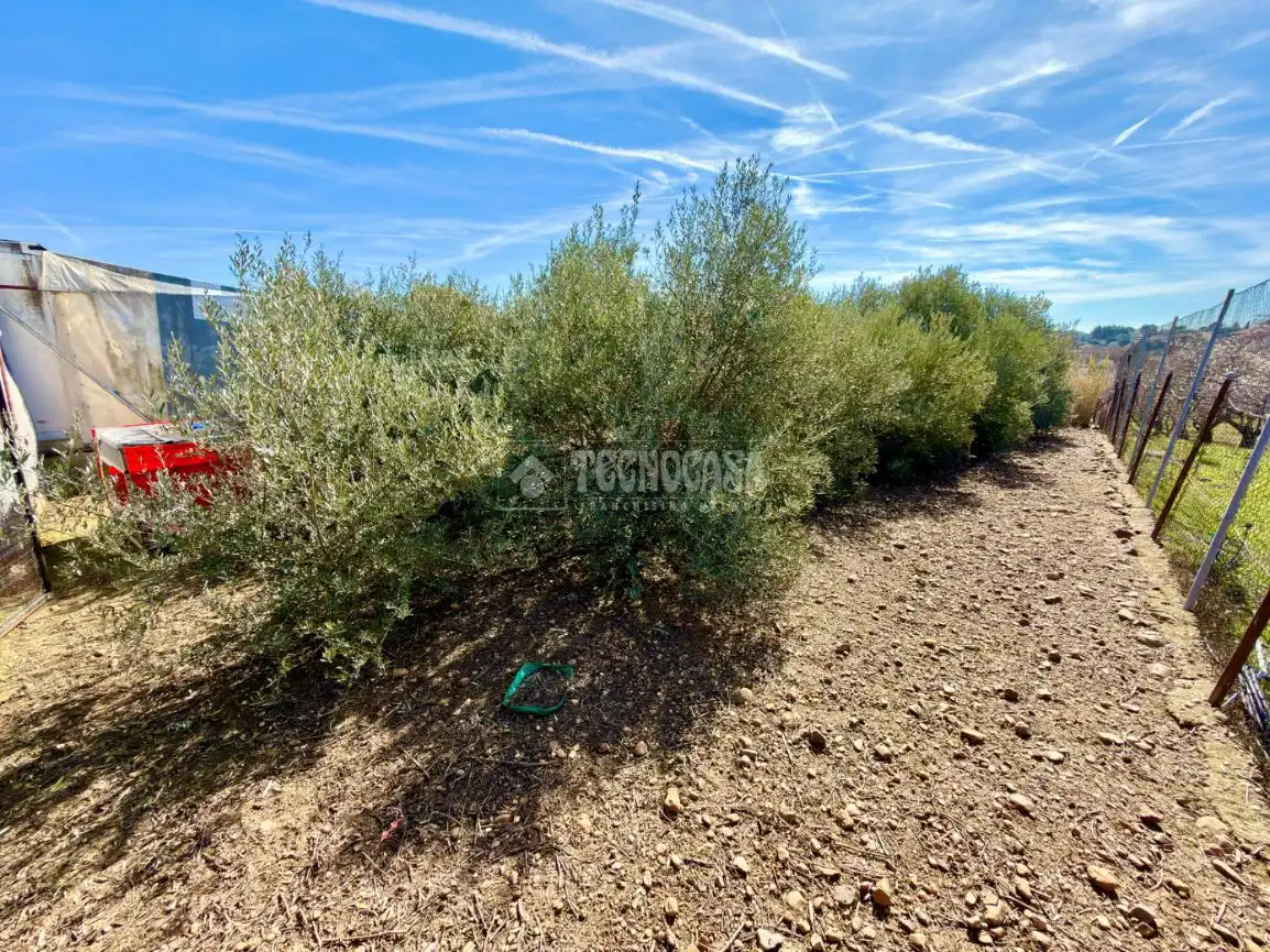 Terreno residenziale in vendita a Valdeavero, imagen 18