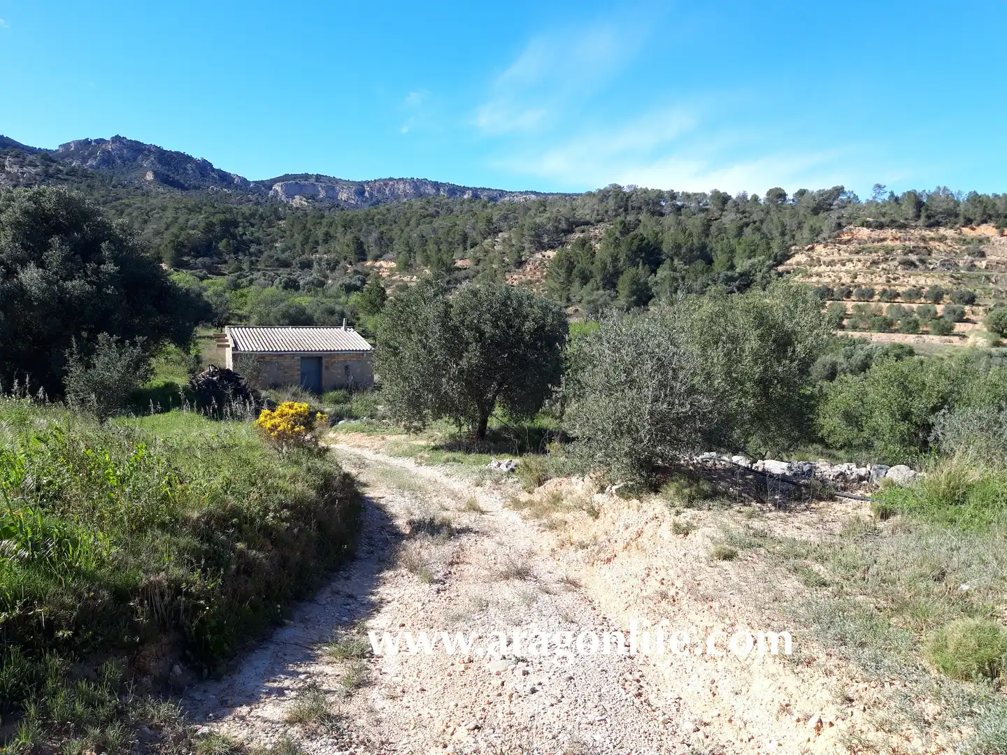 Country homes for sale in El Pinell de Brai