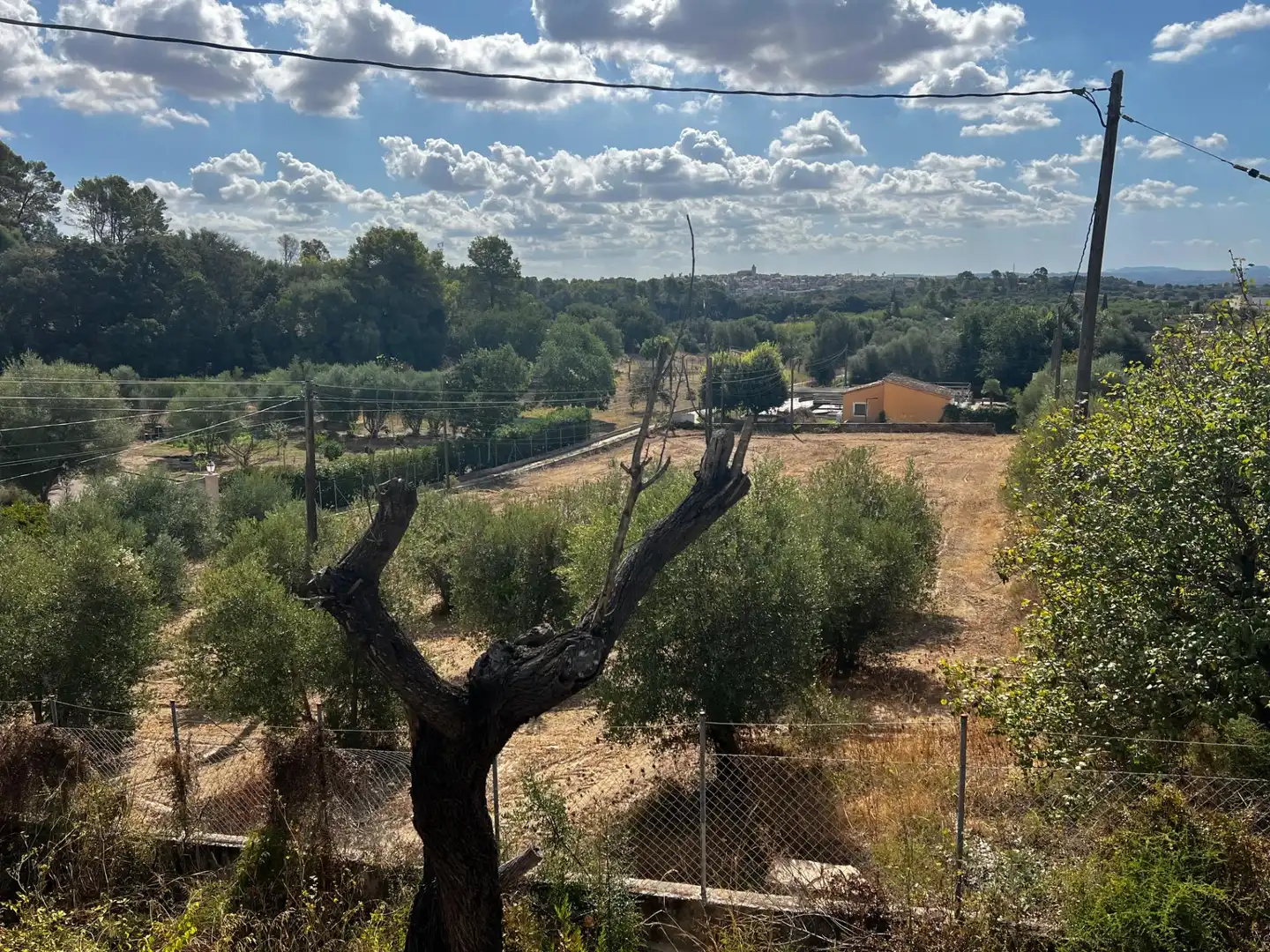Maison rustique à vendre à Campanet, imagen 4