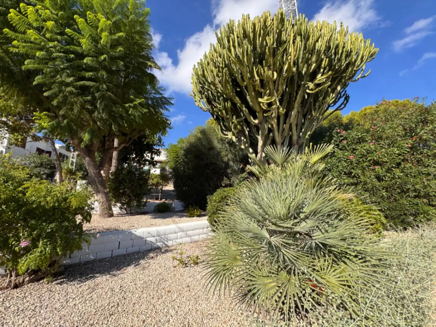 Bungalow mit Pool zum Verkauf in Moravit - Cap Blanc, imagen 35