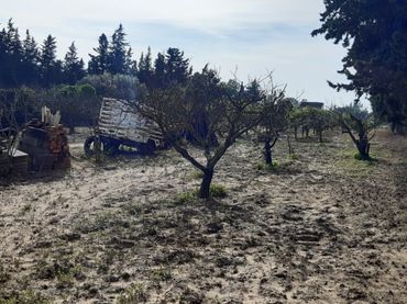 Terreno residenziale in vendita a La Coquina