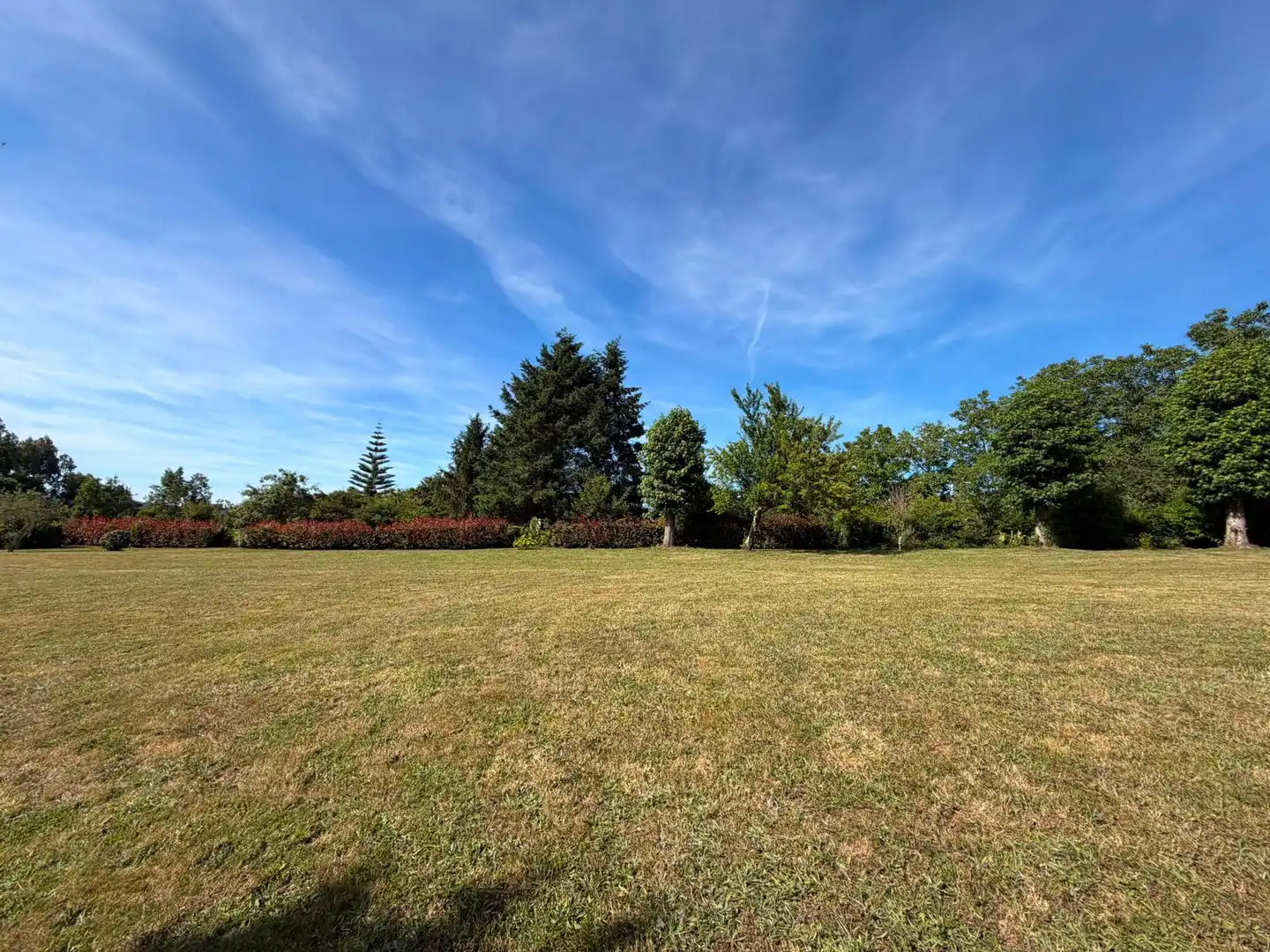 Land for sale in Fene