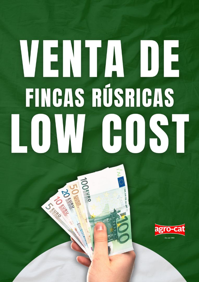 Vista exterior de Finca rústica en venta en Torredembarra
