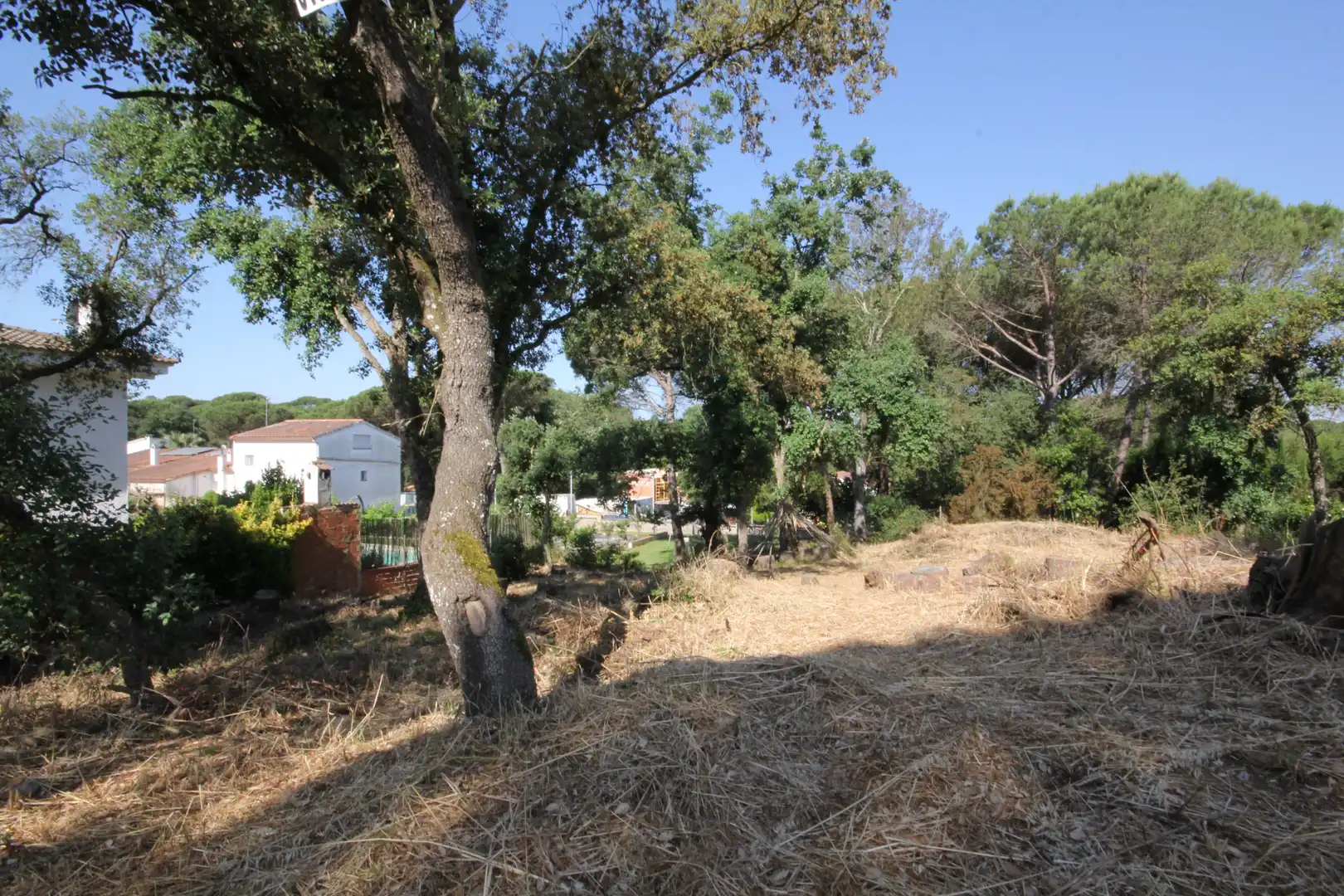 Terreny residencial en venda a Carrer Begònia, imagen 3