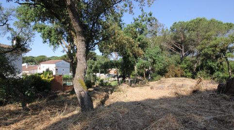 Fantástica parcela cerca de la Costa Brava, imatge 3