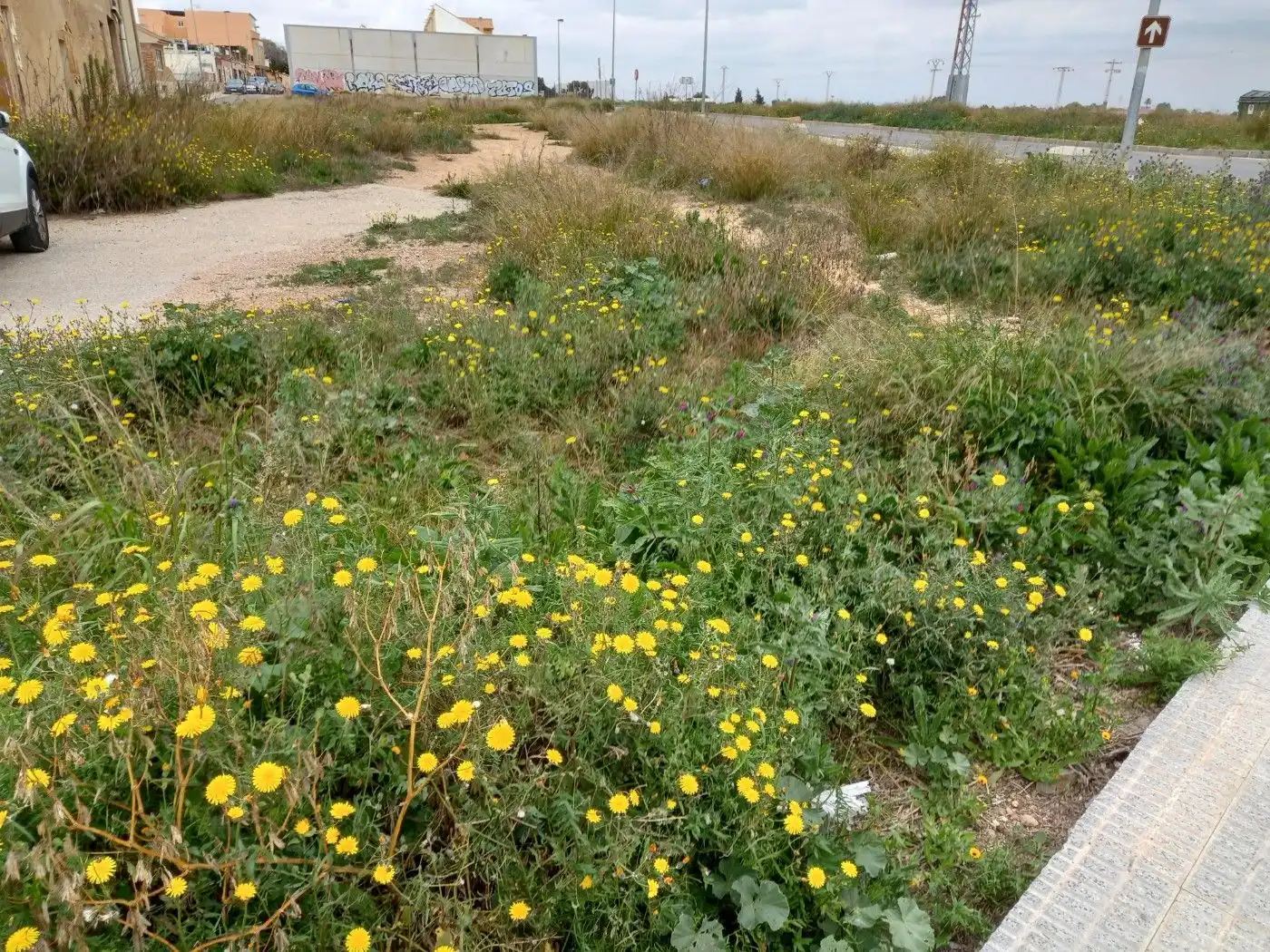 Wohnbaugrundstück zum Verkauf in Cartagena ciudad, imagen 14