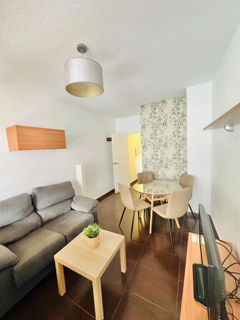 Living room of Study for rent in Centro