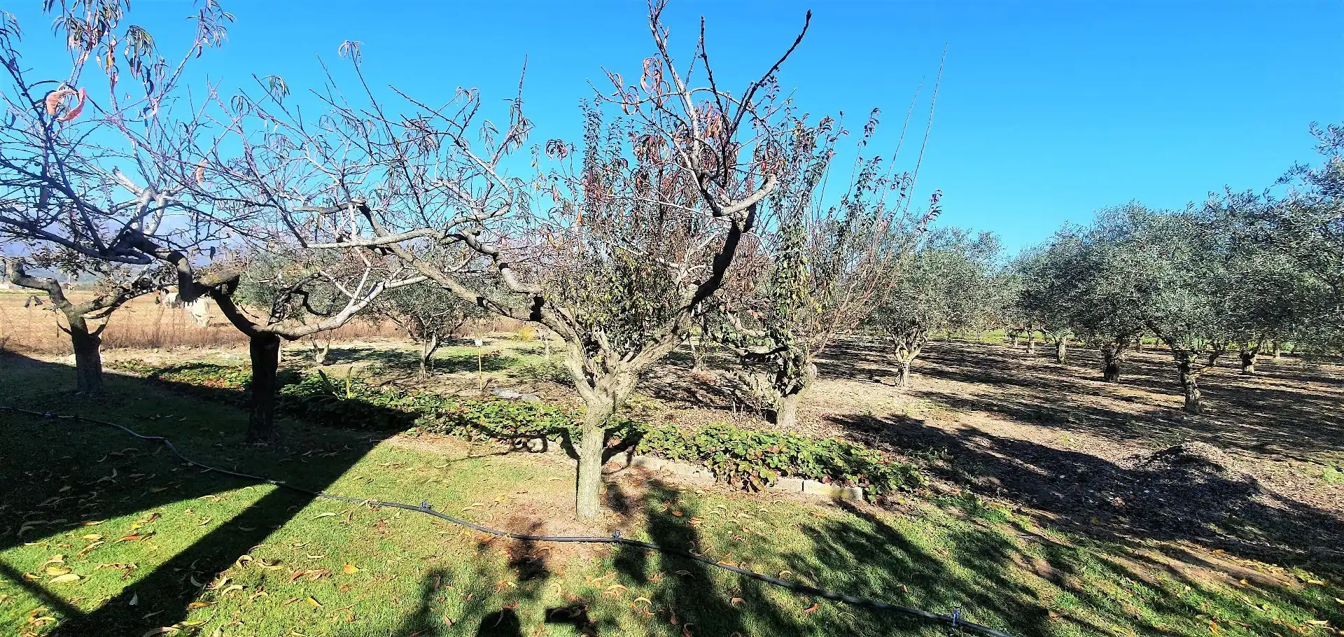 Terreni e lotti in vendita a Losar de la Vera, imagen 13