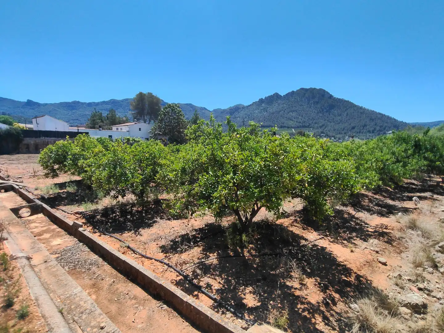 Finca rústica en venda en Simat de la Valldigna amb Jardí privat, Traster i Piscina