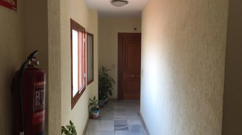 Foto 3 de Piso de alquiler en Avenida de la Vega, Orihuela ciudad, Alicante