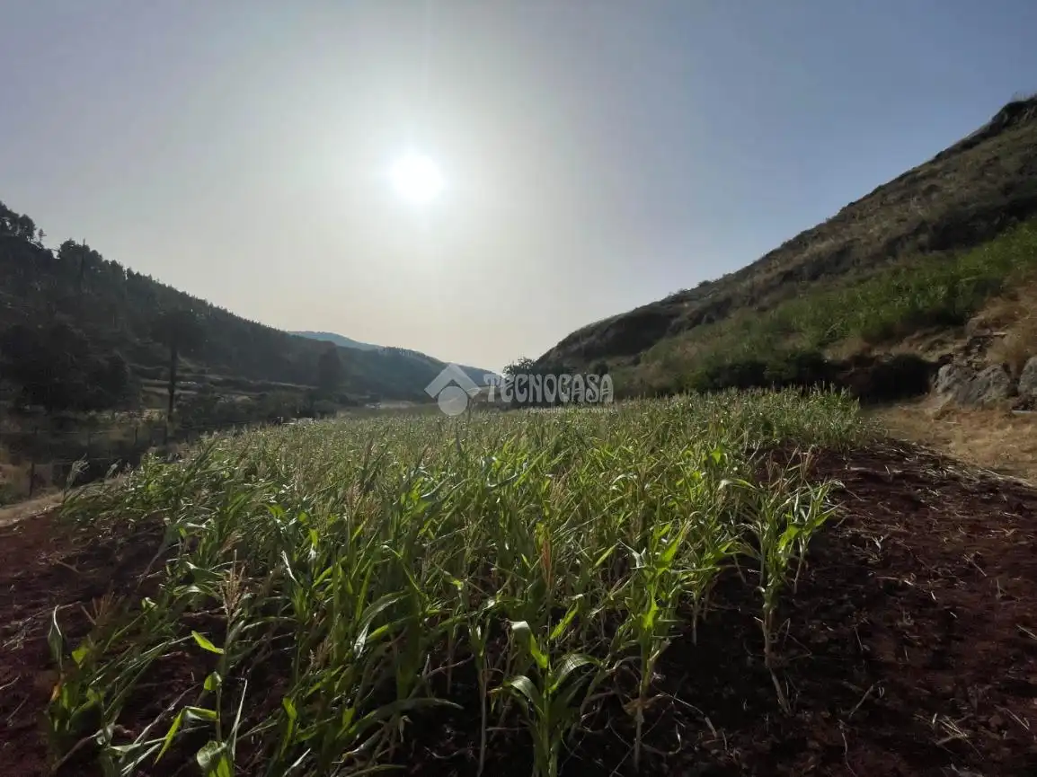 Terreno en venta en Gáldar