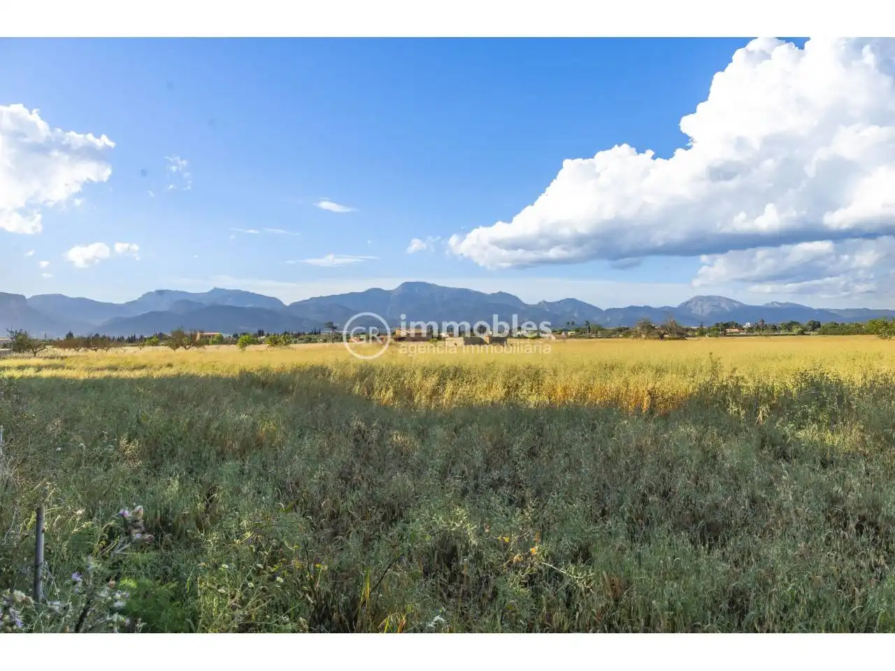 Terreno rustico in vendita a Calle major