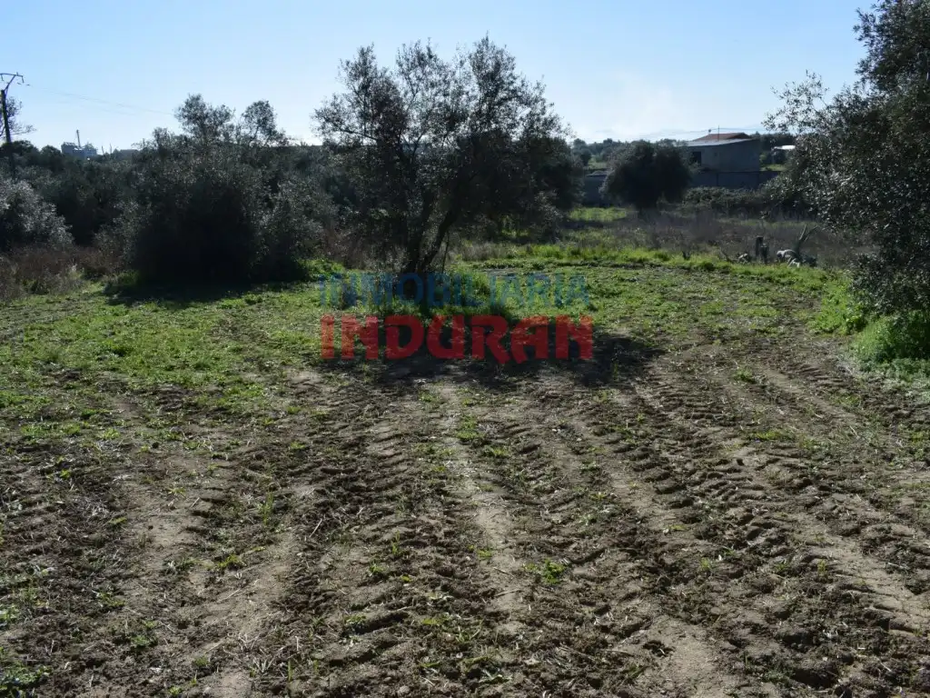 Haus zum Verkauf in Peraleda de la Mata, imagen 6