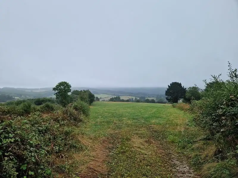 Terreni e lotti in vendita a Friol, imagen 2