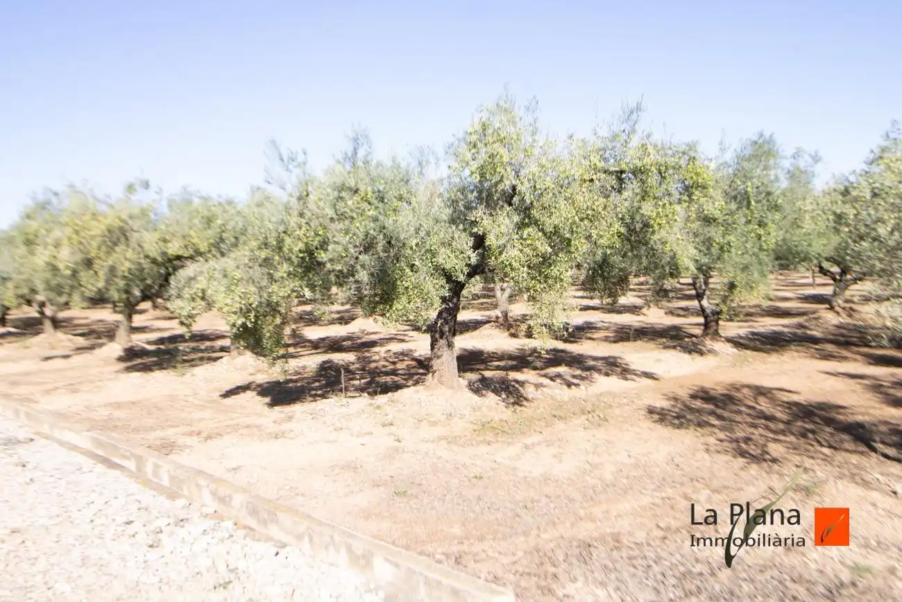 Terreno rustico in vendita a Santa Bàrbara, imagen 8