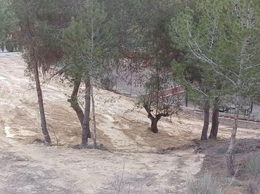 Terreni e lotti in vendita a Altorreal - El Chorrico
