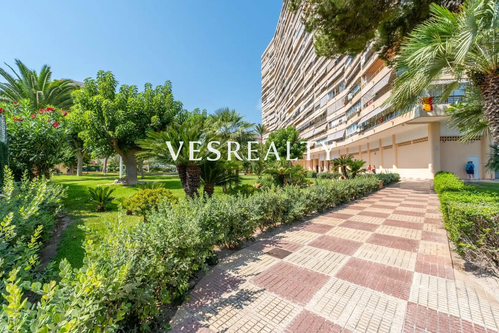 Vista exterior de Piso de alquiler en Alicante / Alacant con Amueblado, Balcón y Piscina comunitaria