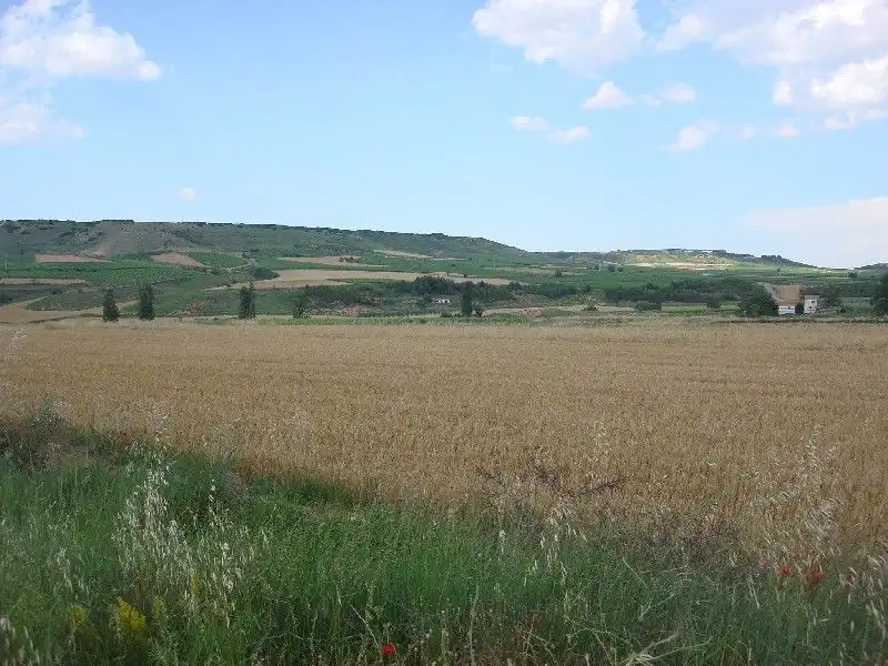 Rustikales Grundstück zum Verkauf in Villamediana de Iregua, imagen 2