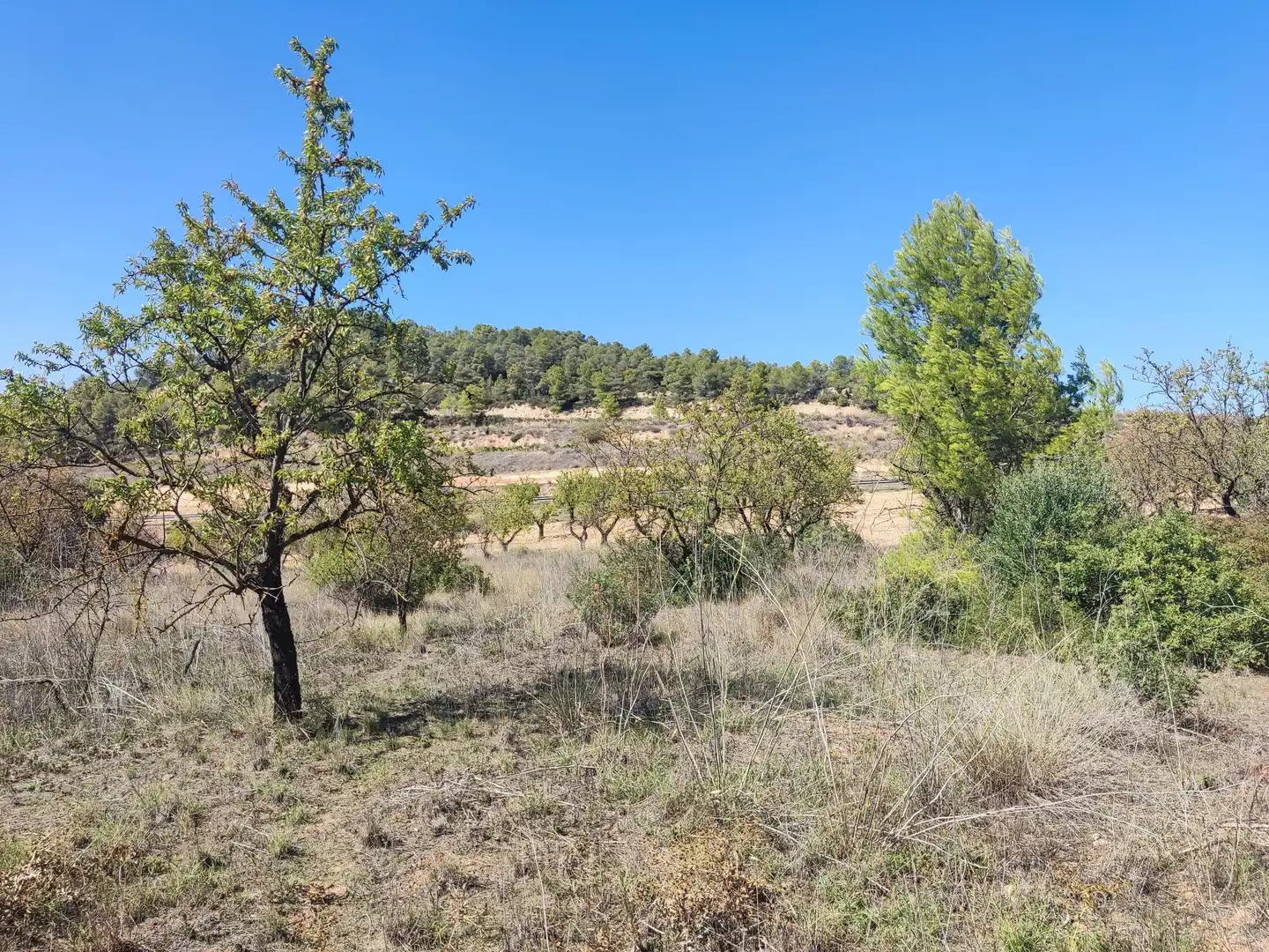 Rural land for sale in Horta de Sant Joan, imagen 9