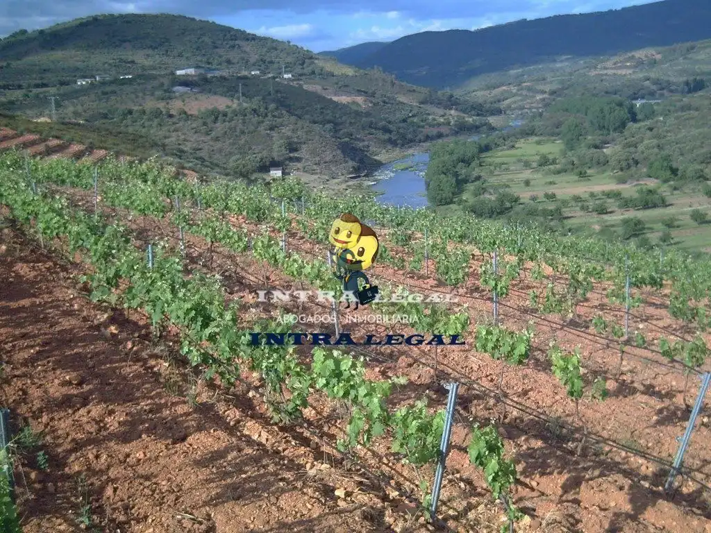 Local en venta en Sotoserrano con Aire acondicionado, Amueblado y Alarma