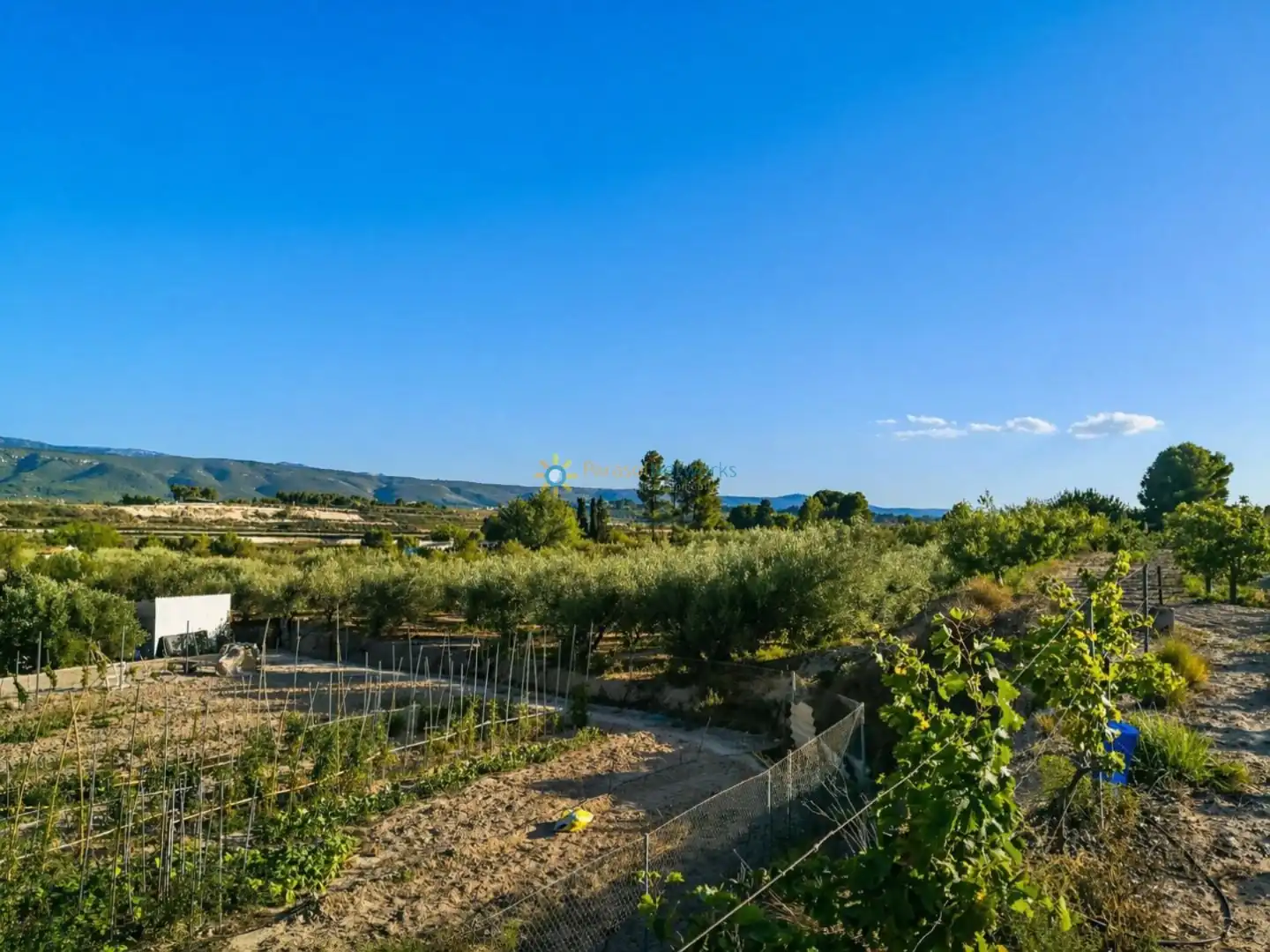 Finca rústica en venta en Albaida con Jardín privado y Trastero