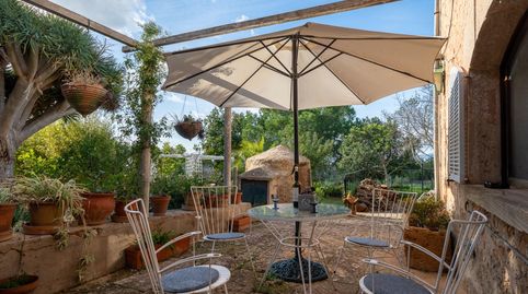 VENTA FINCA RUSTICA EN MARRATXÍ, imagen 4