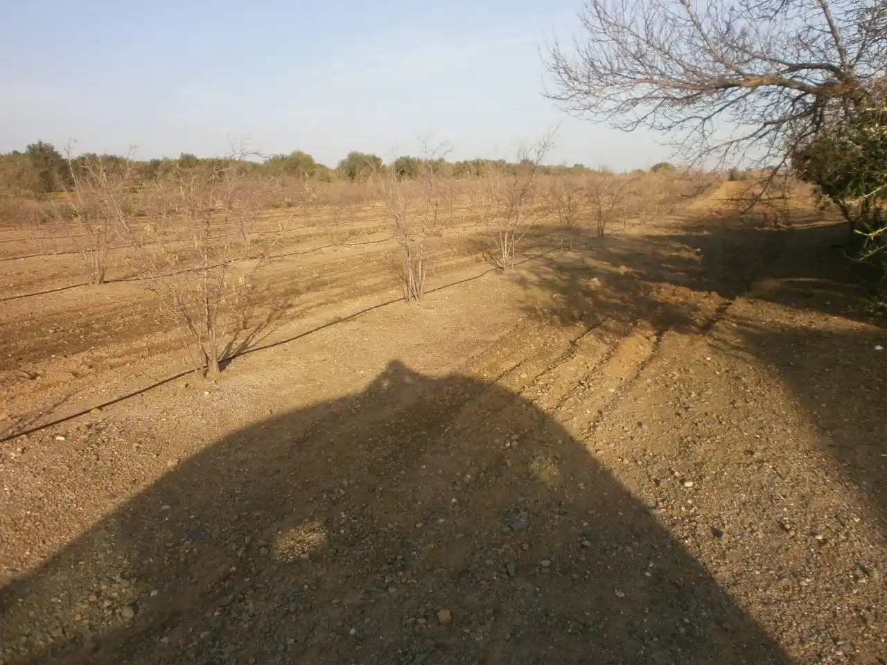 Land for sale in Zn Sta Anna, 5, Castellvell del Camp