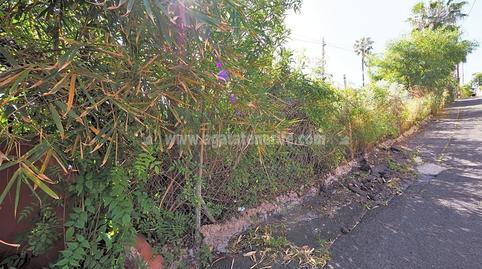 Photo 3 of Residential for sale in Cuesta de la Villa, Santa Cruz de Tenerife