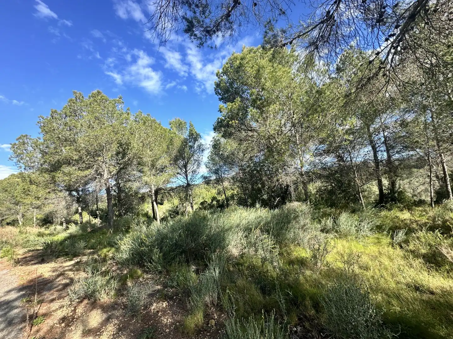 Terreny residencial en venda a Estivella, imagen 2