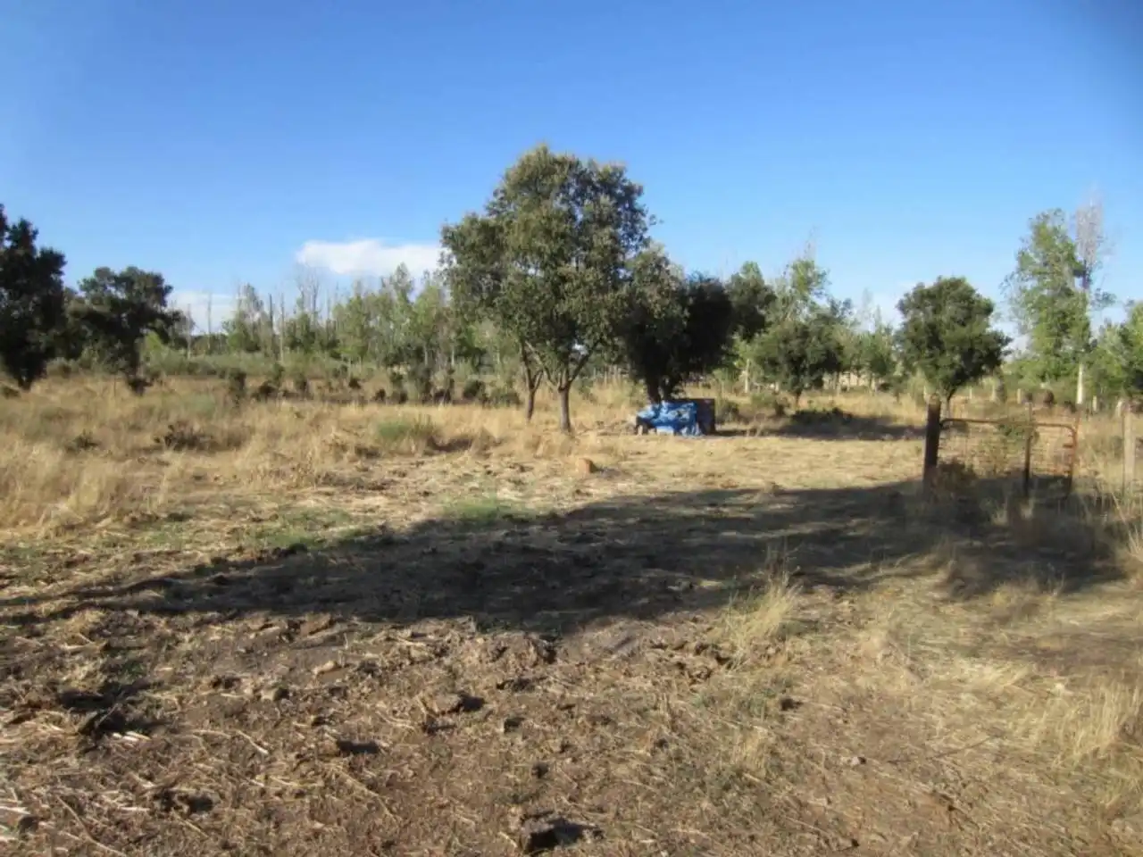 Terreno residencial en venta en Poligono 14, imagen 5