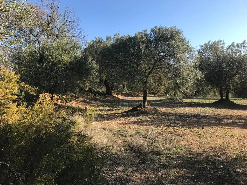 Terrain rustique à vendre à El Bruc