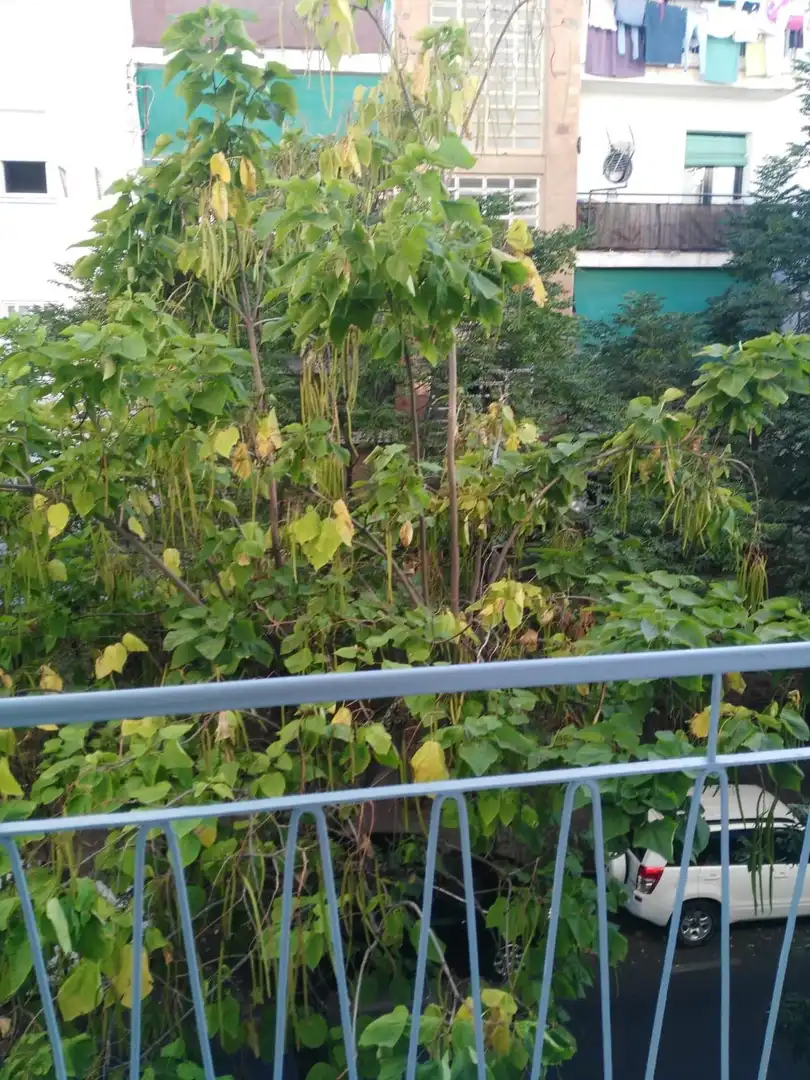 Apartament en venda a Nuevo Cáceres, imagen 13