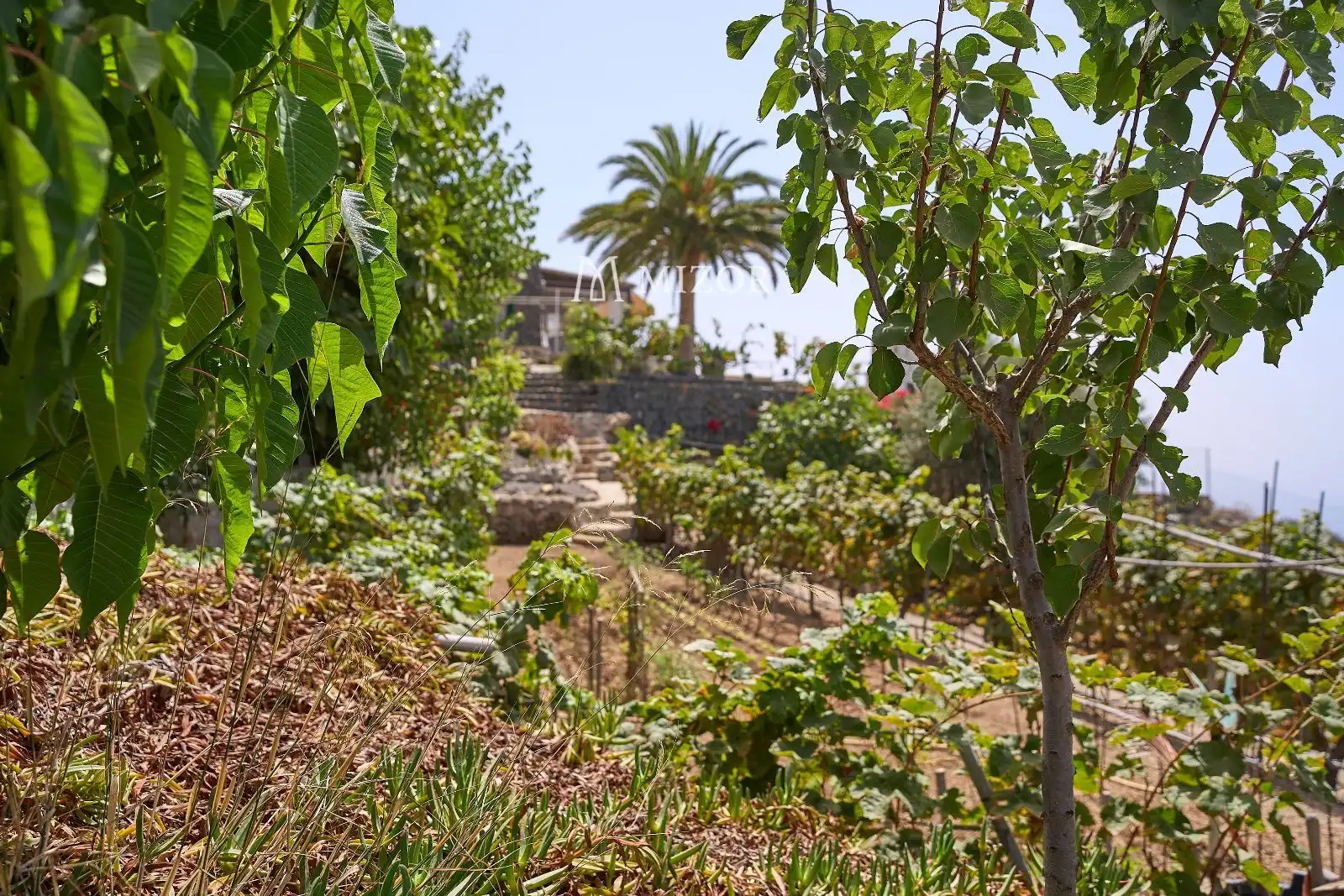 Casa en venta en subida de Vera de Erques, imagen 92