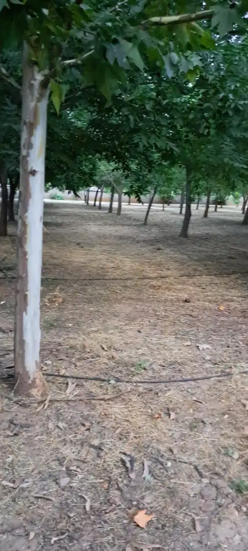 Terreno residenziale in vendita a Calle la Cruz, imagen 2