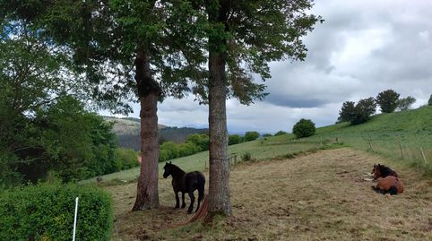 Foto 2 de Finca rústica en venda a Lugar Ardesaldo, 9, Salas, Asturias