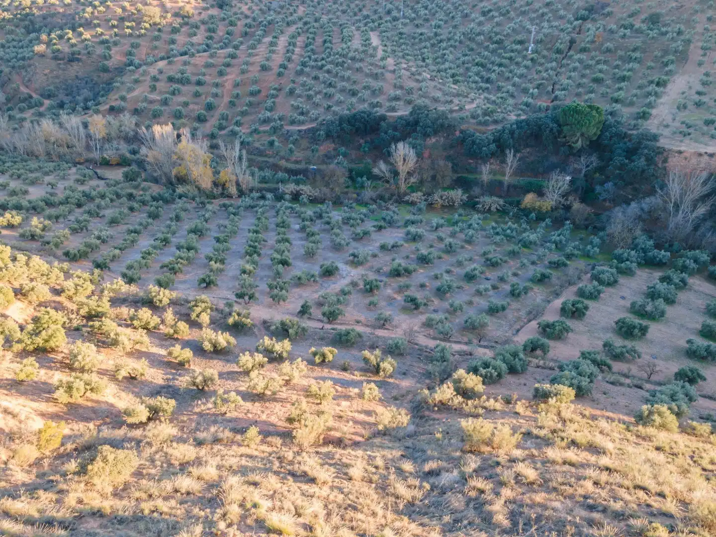 Terreno rustico in vendita a Calicasas, imagen 13