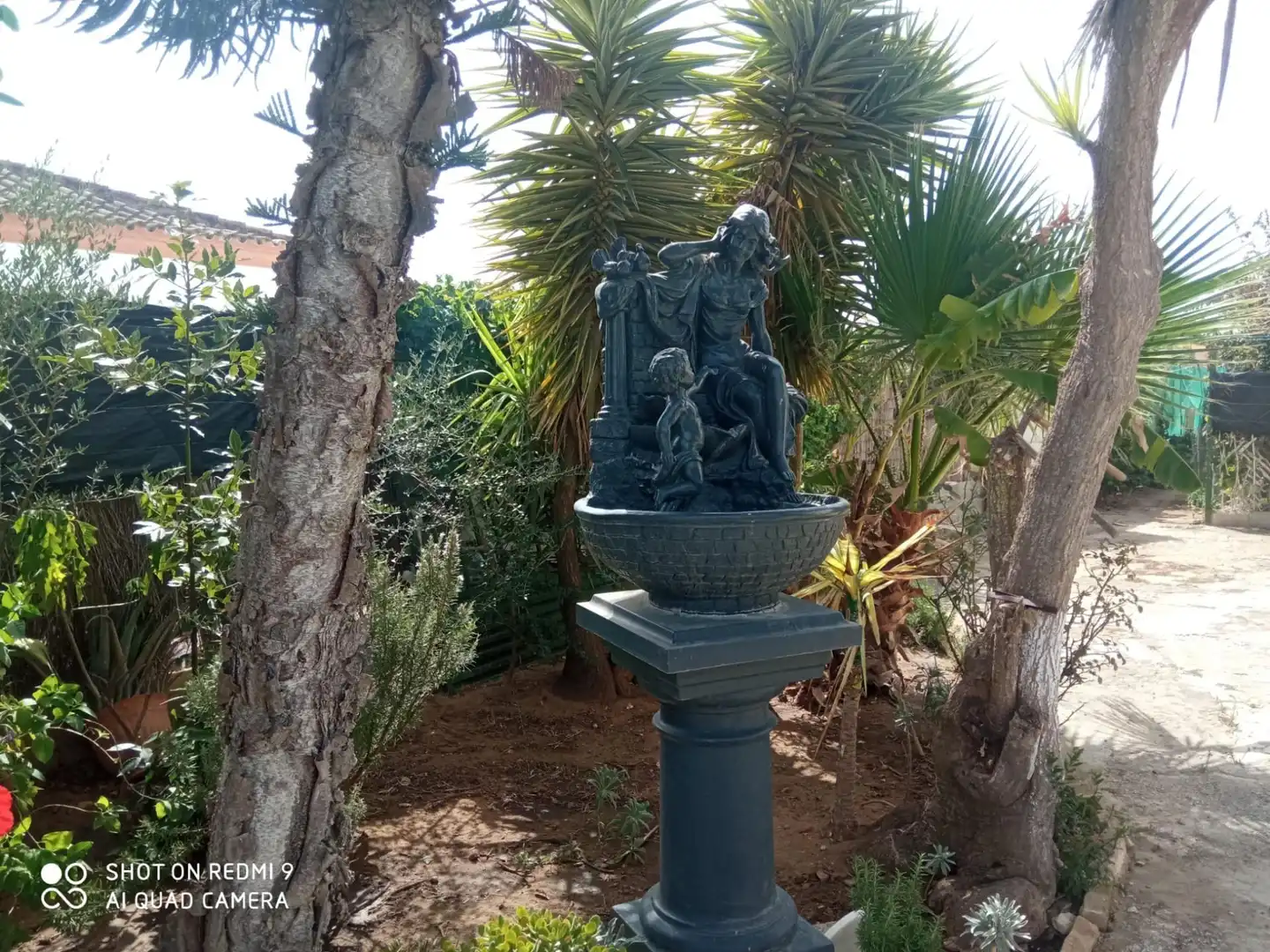 Jardí de Casa o xalet en venda en Puerto Real amb Jardí privat, Piscina i Alarma
