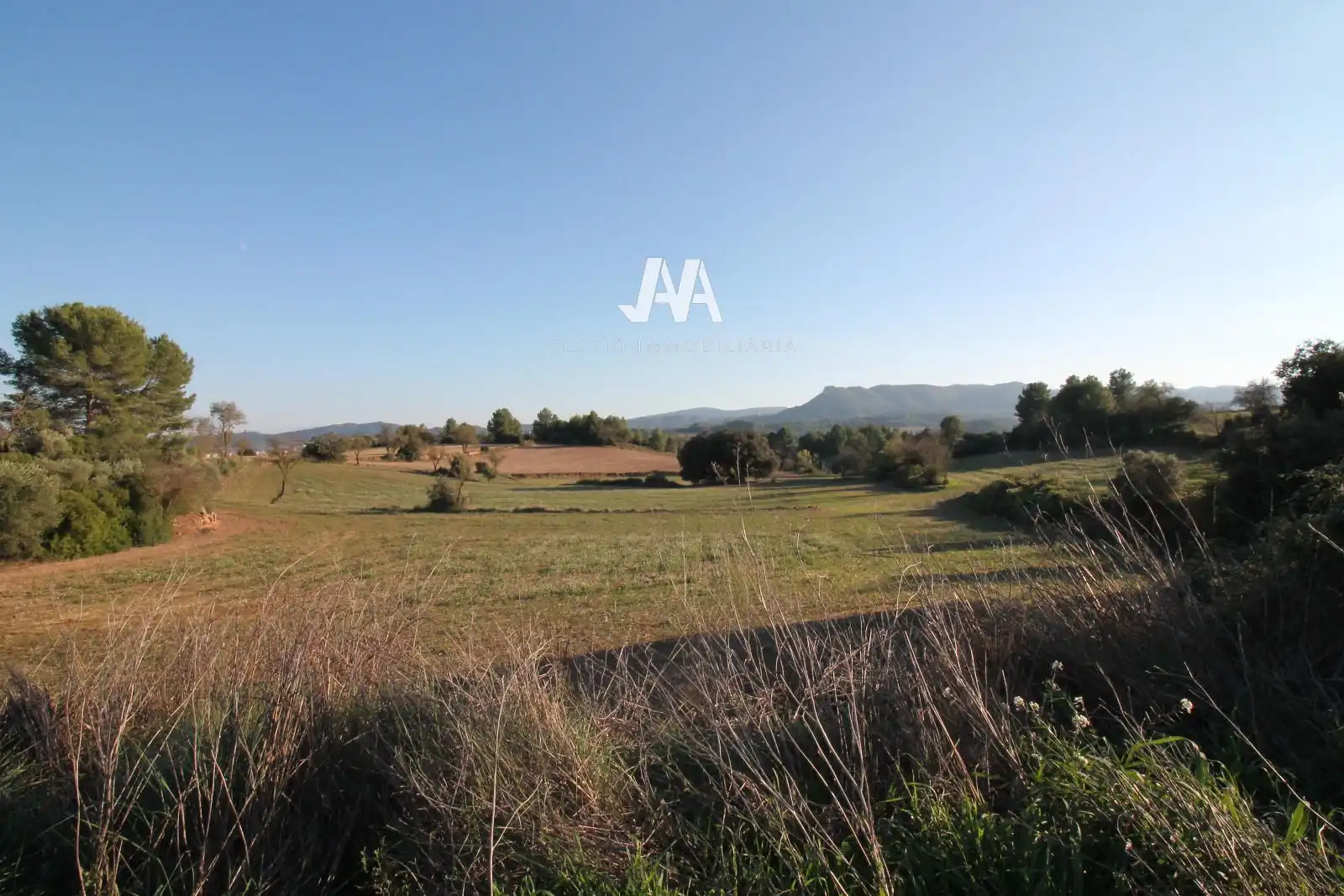 Villa con giardino in vendita a Jorba, imagen 4