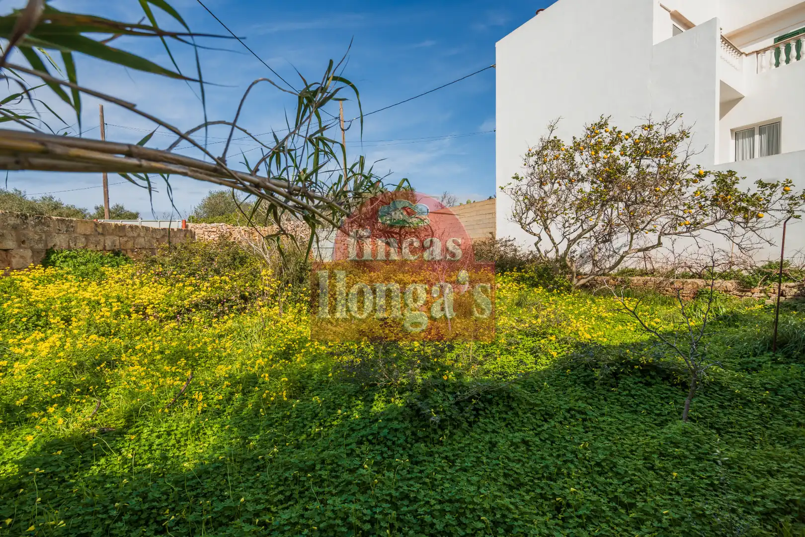 Rural land for sale in Ciutadella, imagen 3