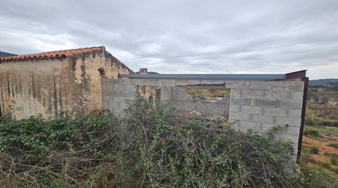 FINCA DE 5 HA EN FREGINALS CON CASA, imatge 2