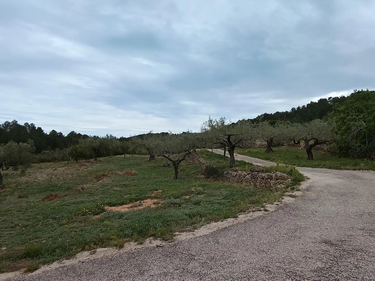 Maison rustique avec jardin à vendre à Tivissa, imagen 13