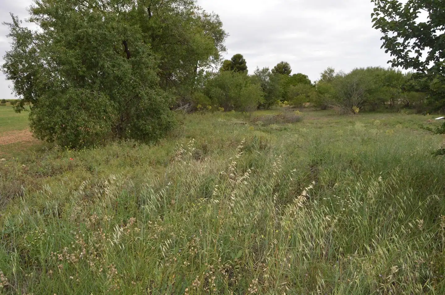 Terreni e lotti in vendita a Paraje Pozo Duende