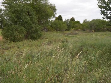Grundstücke und Bauplätze zum Verkauf in Paraje Pozo Duende
