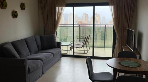 Photo 5 of Study for sale in Calle Beata Maria Sufragio Orts, Juzgados - Plaza de Toros, Benidorm