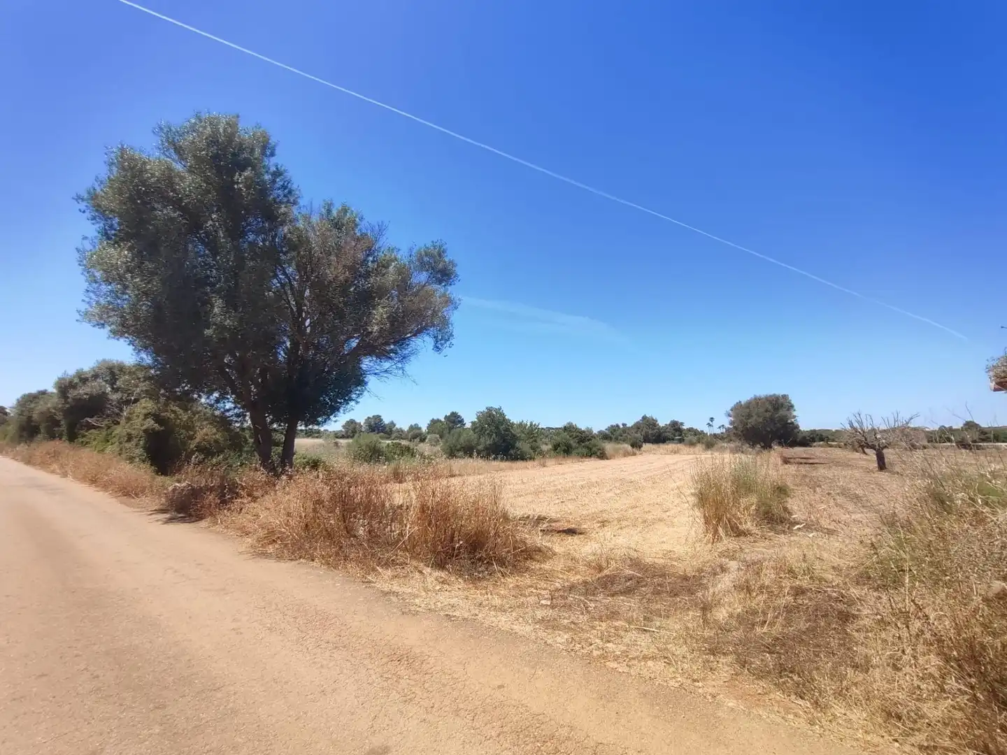 Terreno rústico en venta en Sencelles, imagen 4