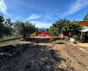 Casa o xalet en venda en Cullera