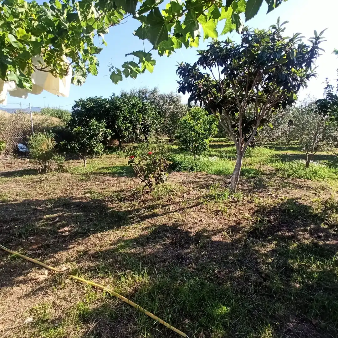 Finca rústica en venta en Reus